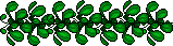 Vine